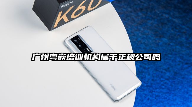 廣州粵嵌培訓機構屬于正規公司嗎